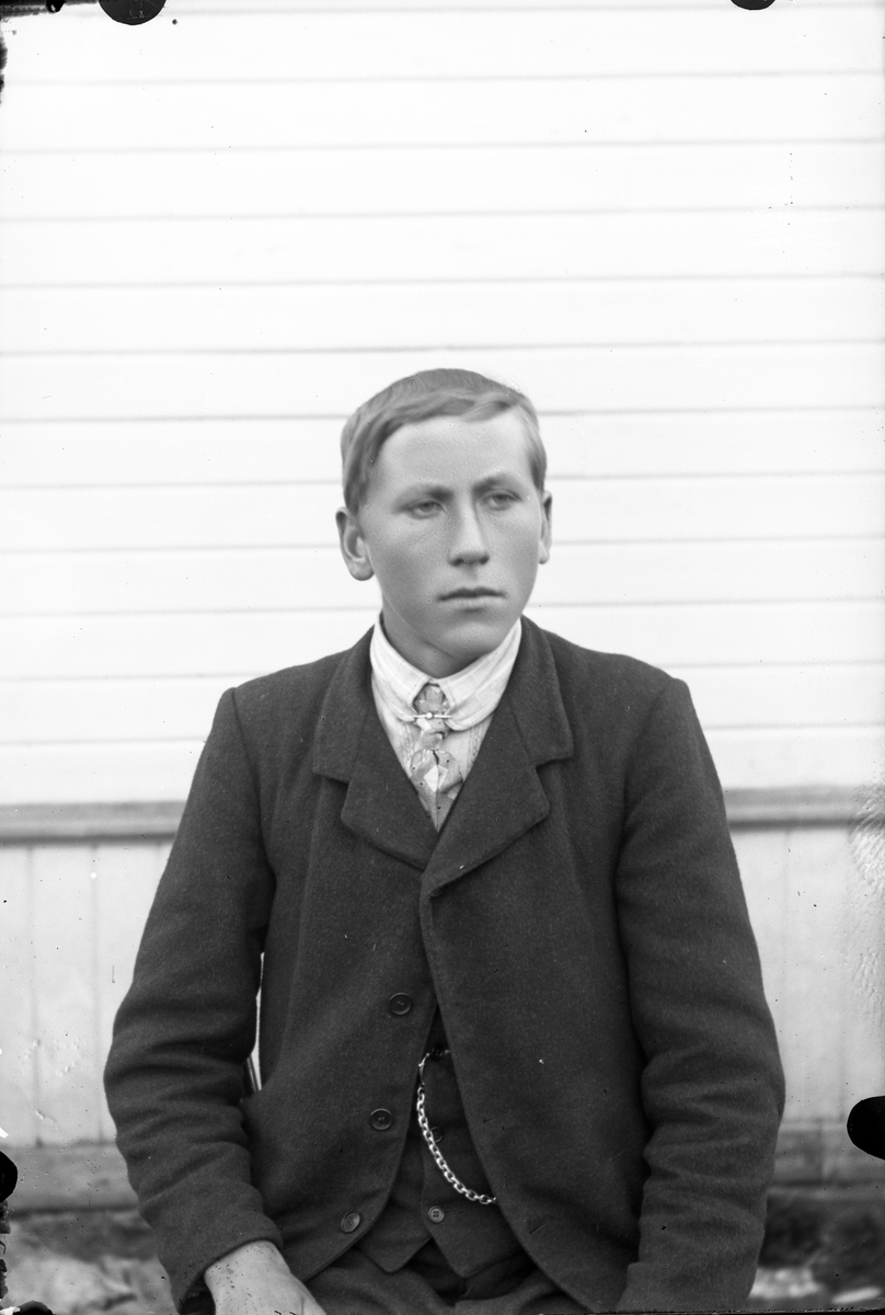 Oscar Holte, Portrett av gutt