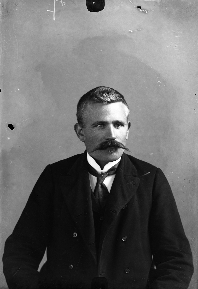 Oscar Holte, Portrett av mann