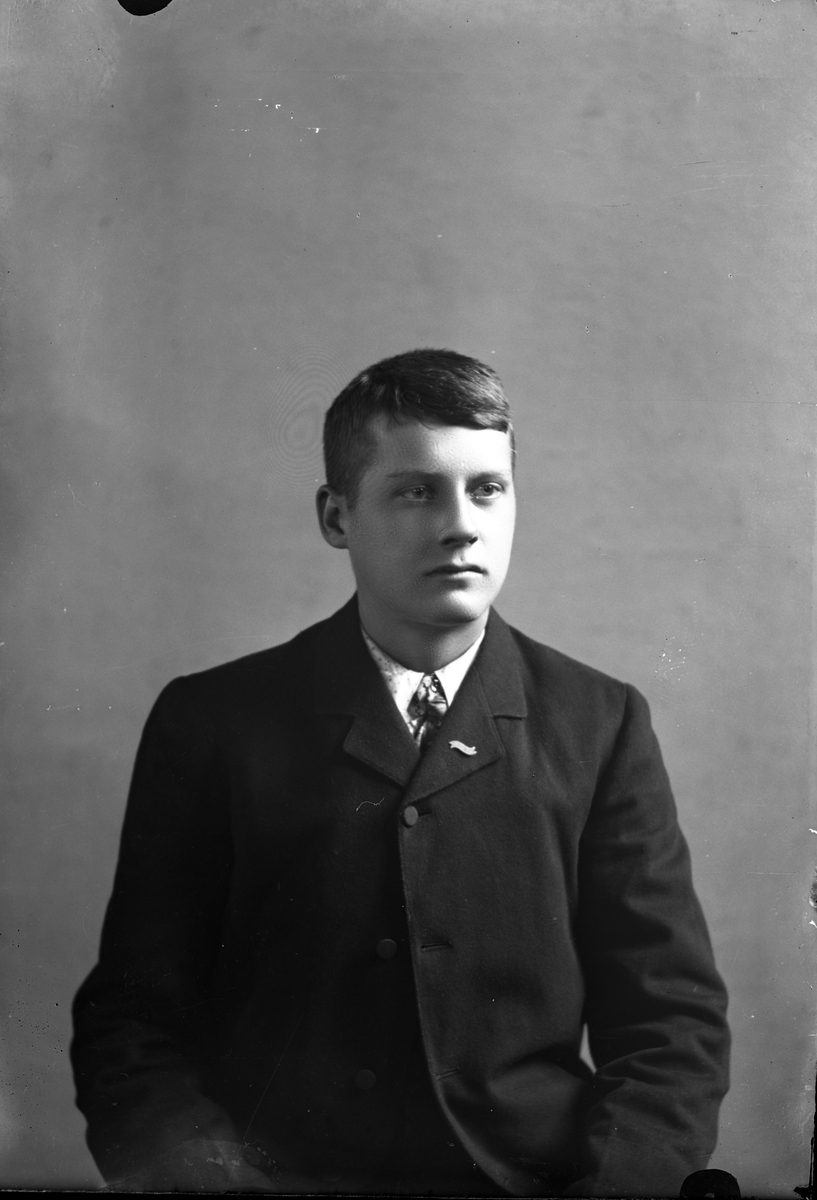 Oscar Holte, Portrett av mann