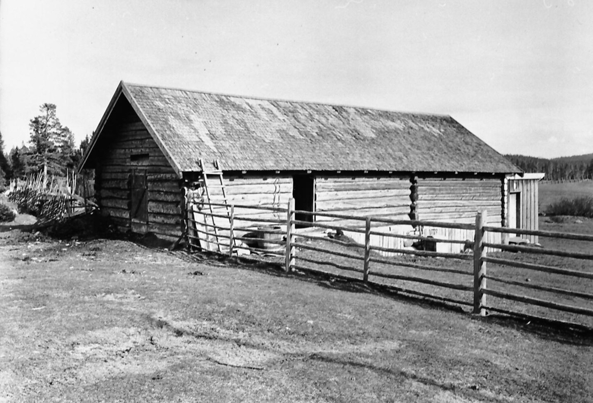 Nordiska Museet, Fjøs på seter, Ø. Rendal, 1927.