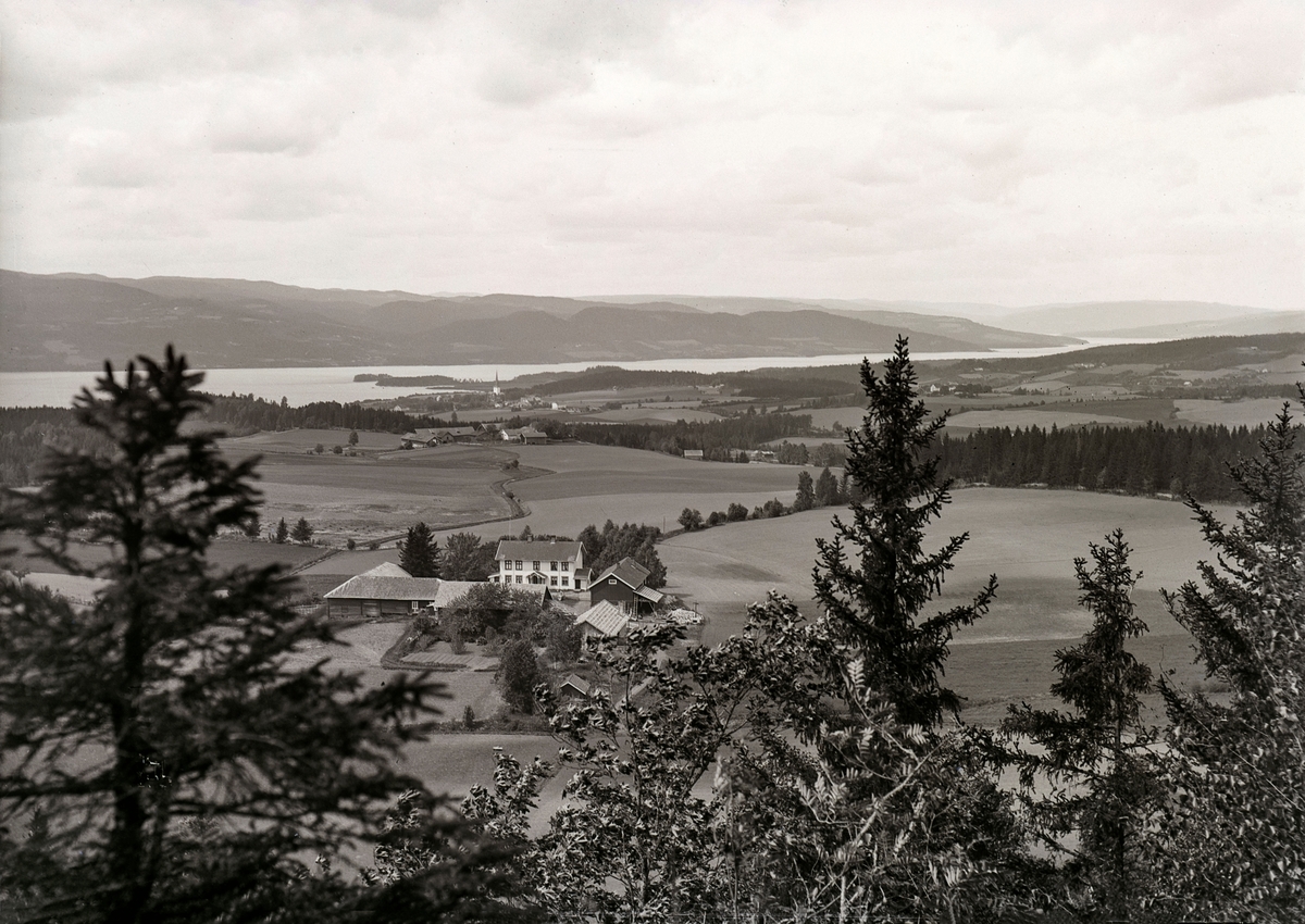 Mikkel Sveinhaug, SEBERG GÅRD, LANDSKAP RINGSAKER.