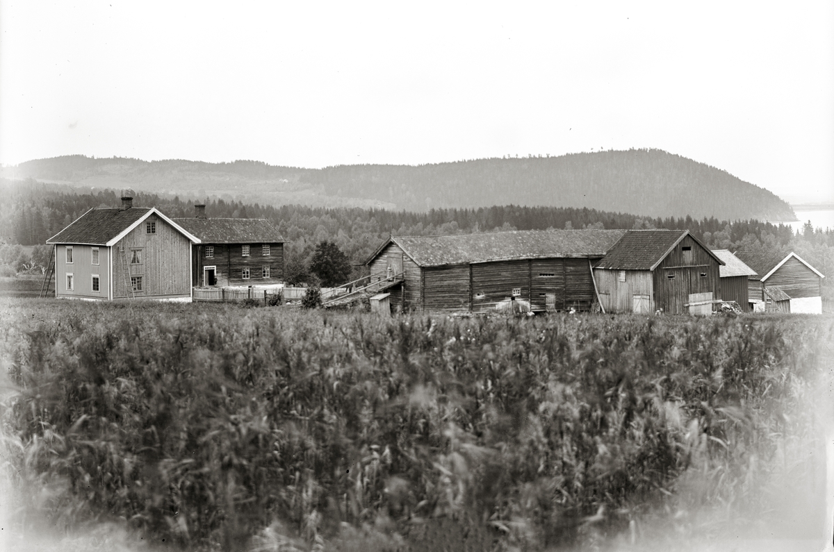 Hans Emil Erichsen, Fjøsne gard, Jessnes. Eksteriør.