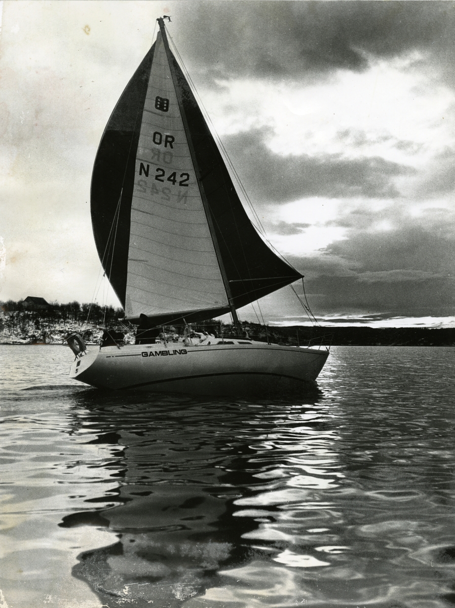 Jan Herman Linge, Linge-båten Gambling, sansynligvis i Oslo-fjorden.
