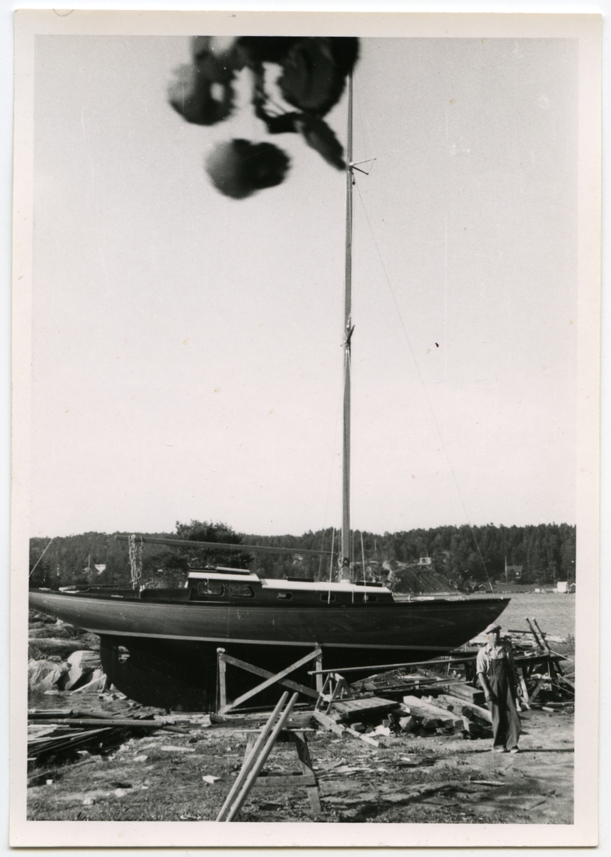 Jan Herman Linge, Hankøkrysser eller Sarpkrysser. Båtene var meget like utvendig, men hadde forskjellige innredning.