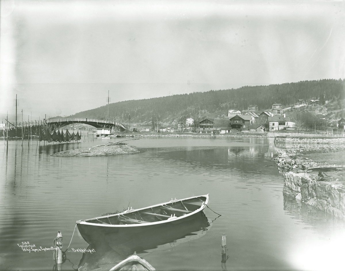 Anders Beer Wilse, Prot: Bækkelaget parti ved Ormøen Mai 1902
