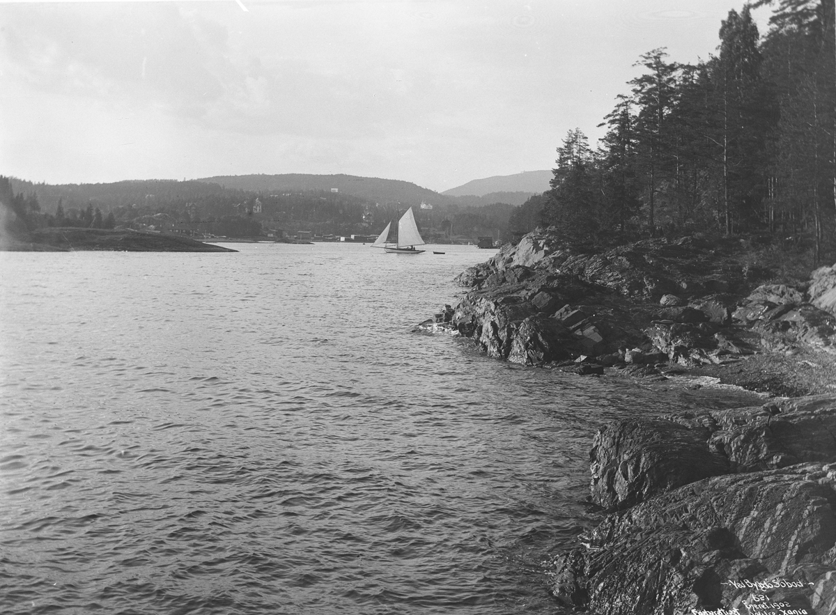 Anders Beer Wilse, Prot: Bygdø ved Sjøbadet Juni 1902