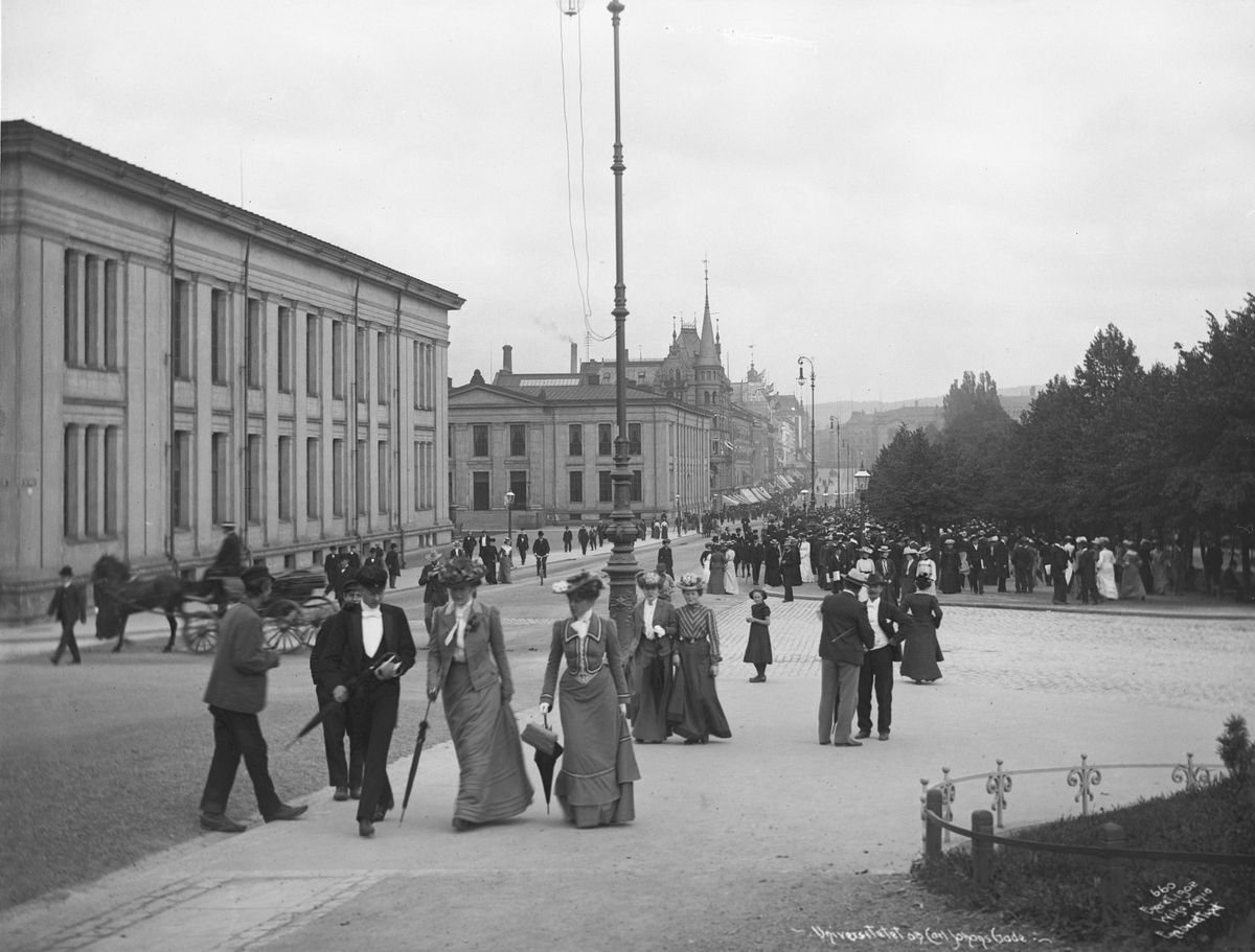 Anders Beer Wilse, Prot: Carl Johan fra Slotsbakken Aug.1902