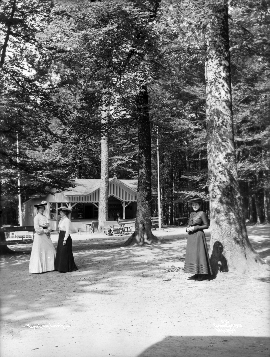 Anders Beer Wilse, Prot: Larvik - Bøgeskogen Julius Hansens Pavlion 21. Juli 1903