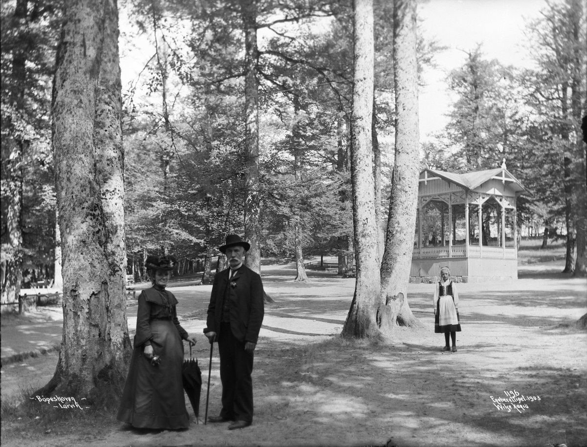 Anders Beer Wilse, Prot: Larvik - Bøgeskogen Musikpavlion 21. Juli 1903