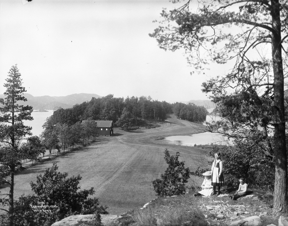 Anders Beer Wilse, Prot: Larvik - Farrisvannet - Kilen fra Bøgeskogen 21. Juli 03