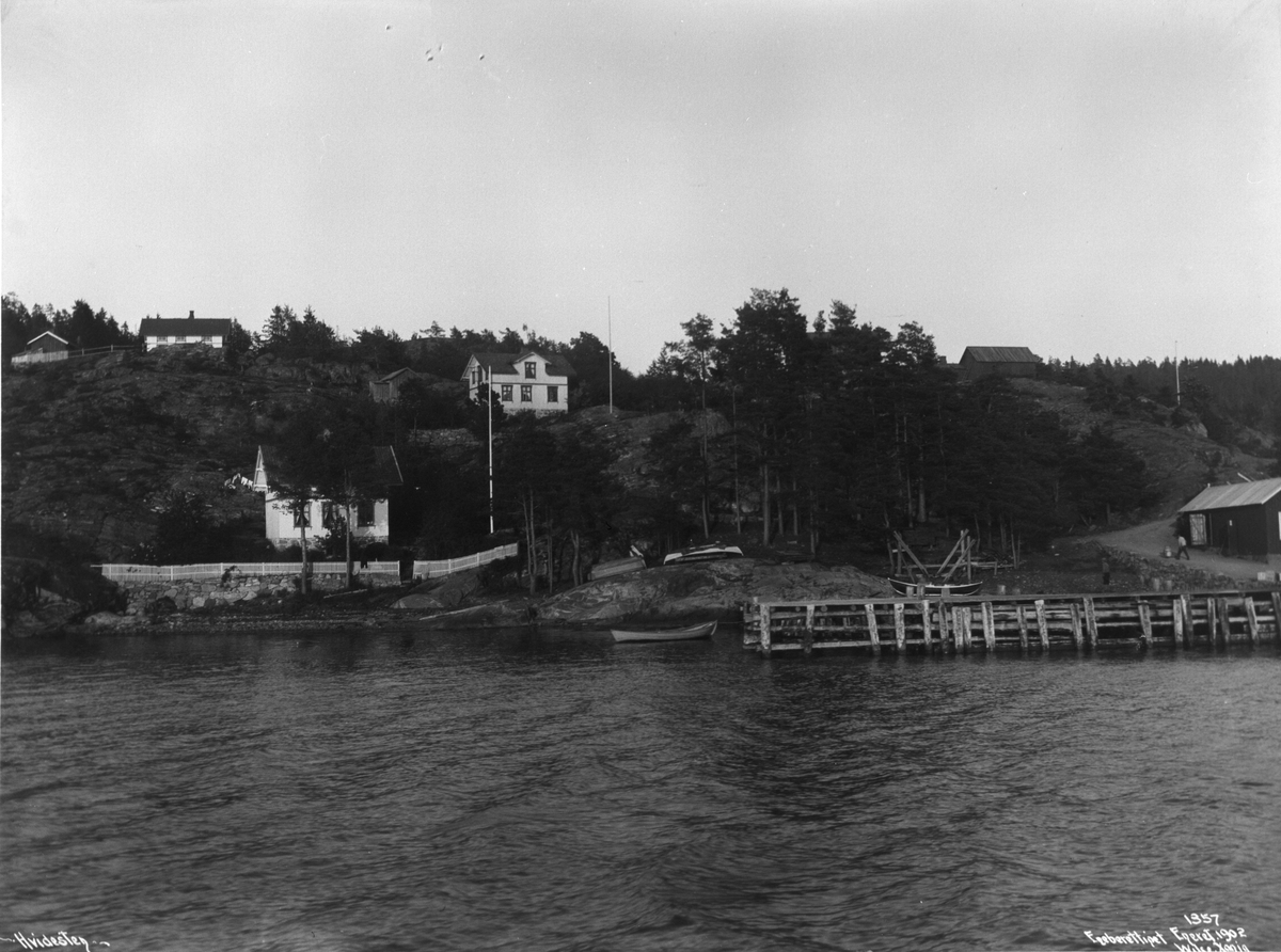 Anders Beer Wilse, Prot: Hvitsten Fra Fjorden Dampskibsbryggen 19 Juni 1902