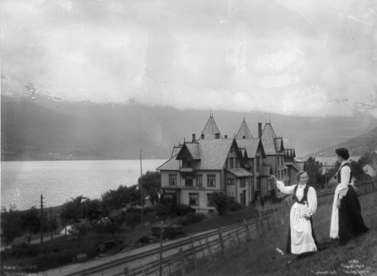 Anders Beer Wilse, Prot: Hardanger - Vossevangen Fleischers Hotel fra Sjøen 18 Jul 02
