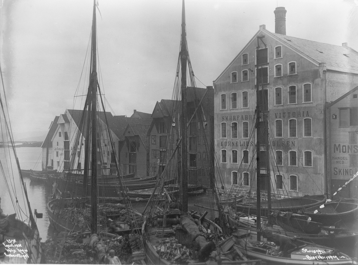 Anders Beer Wilse, Prot: Stavanger - Bispebryggen 22. Juli 1902