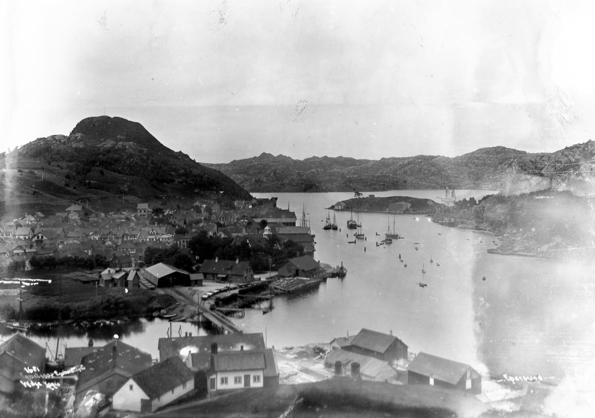 Anders Beer Wilse, Prot: Egersund - Byen fra Aasen 22. Juli 1902