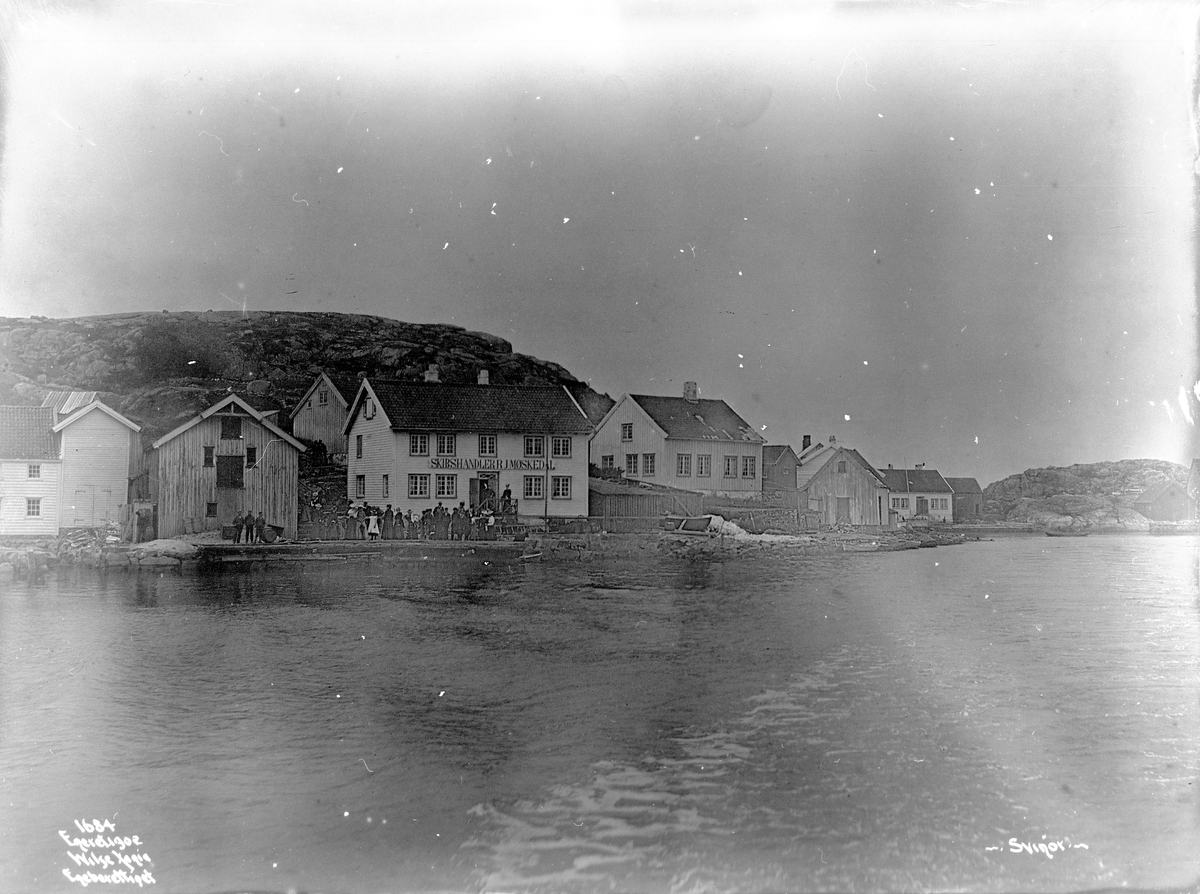 Anders Beer Wilse, Prot: Svinør 29. Juli 1902