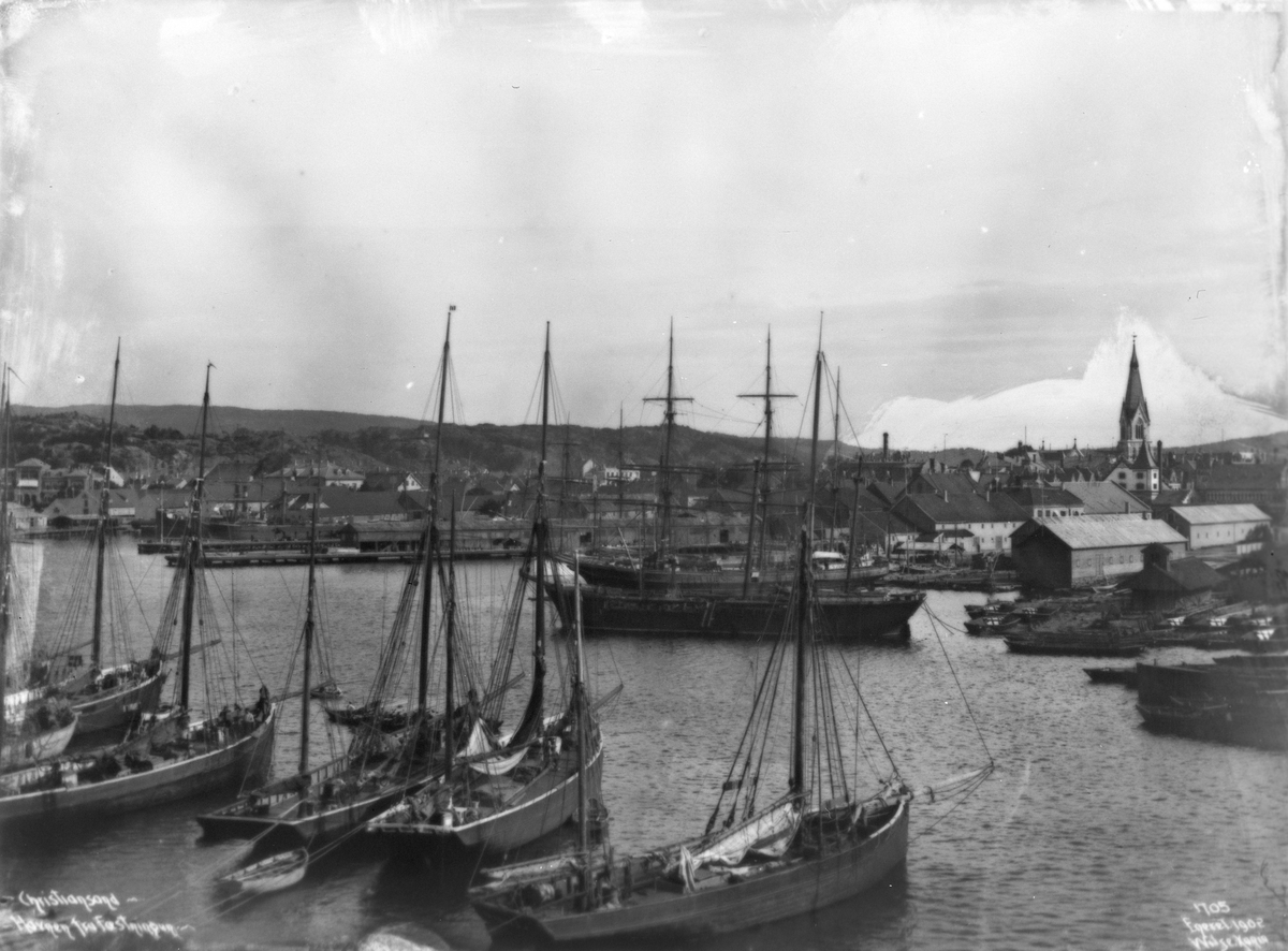 Anders Beer Wilse, Prot: Christiansand - Byen fra Fæstningen 29. Juli 1902