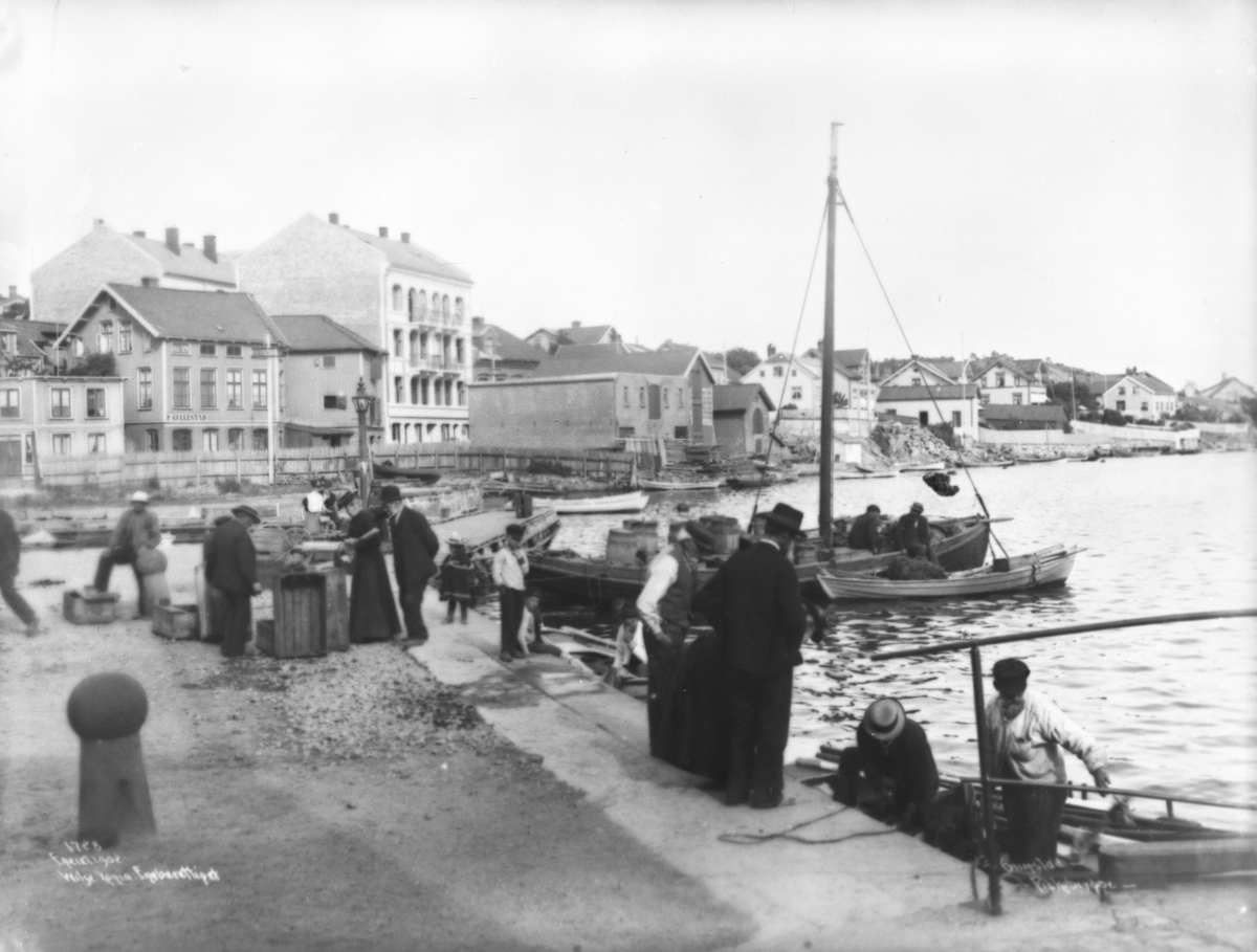 Anders Beer Wilse, Prot: Grimstad - Fiskebryggen 30. Juli 1902