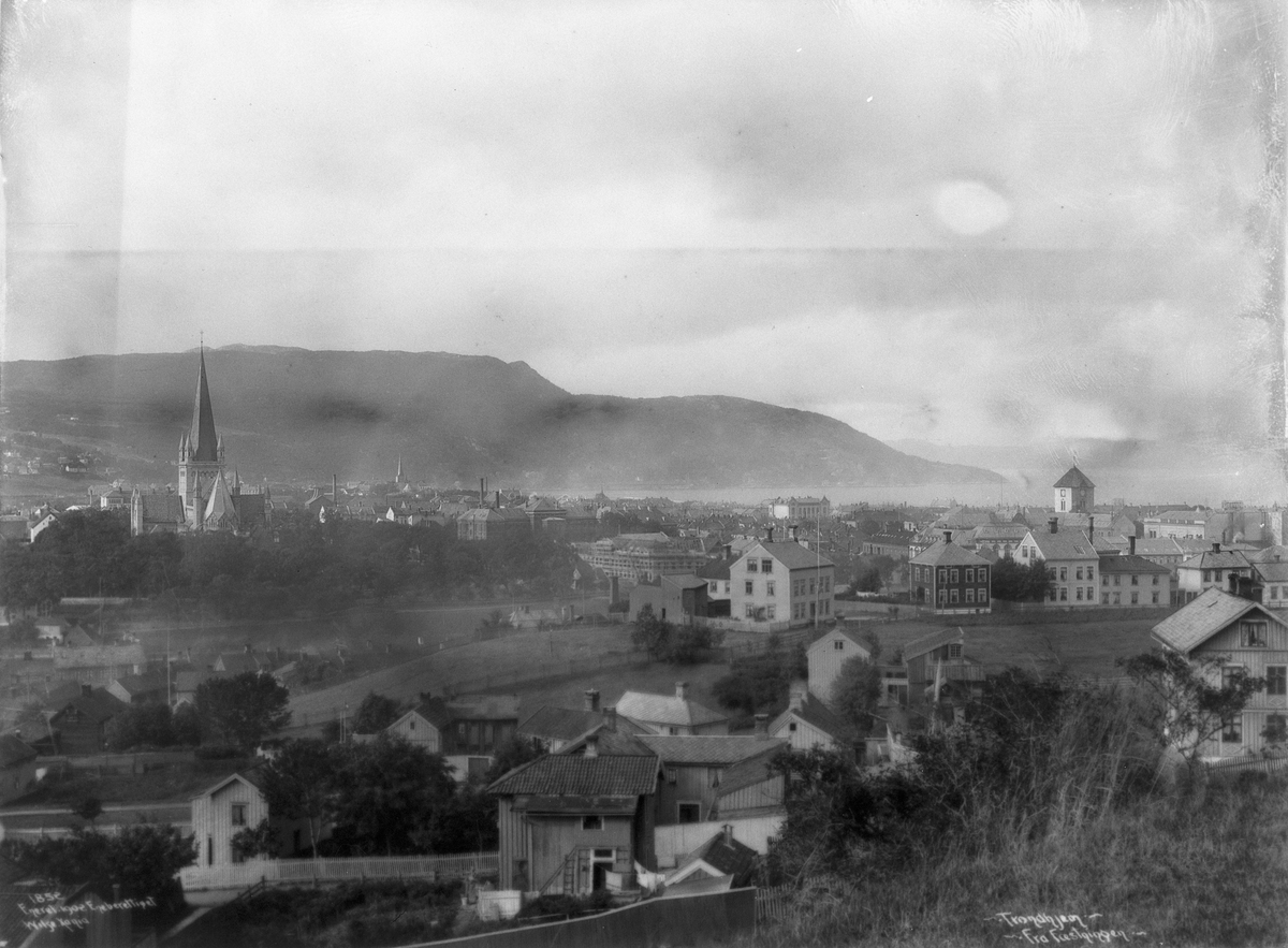 Anders Beer Wilse, Prot: Trondhjem - Byen 26.Sep.1902