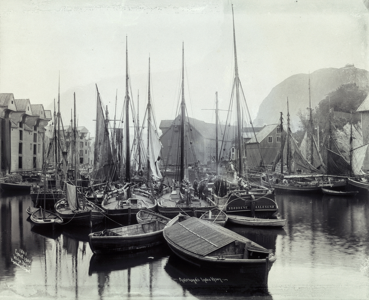 Anders Beer Wilse, Prot: Aalesund - Fiske Indre Havn 26. Sep. 1902