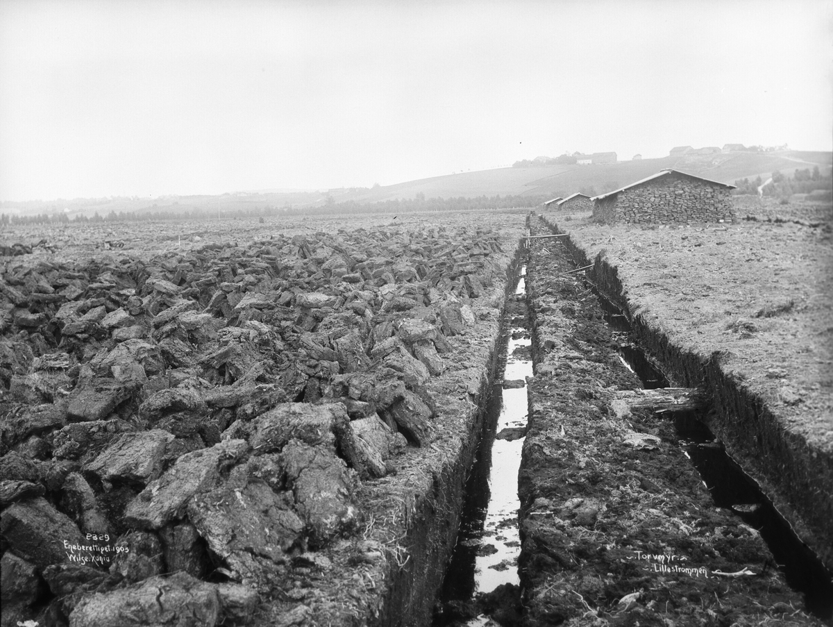Anders Beer Wilse, Prot: Lillestrøm - Torvmyr 8. Aug. 1903
