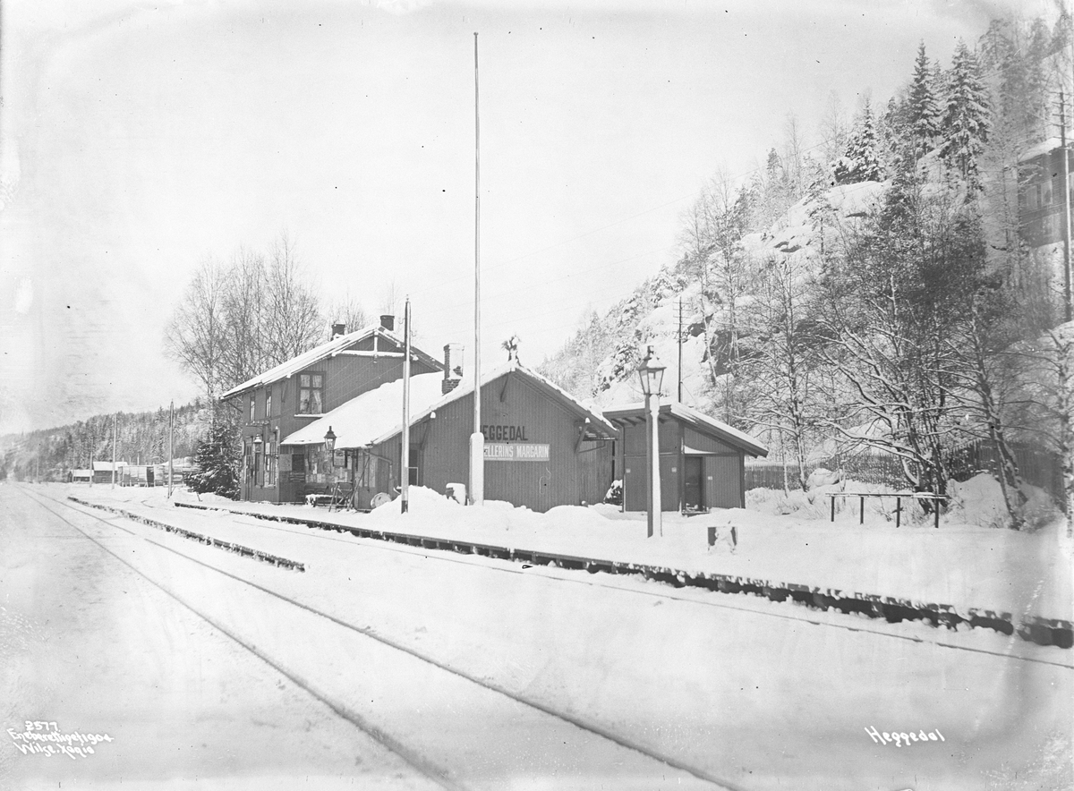 Anders Beer Wilse, Prot: Heggedal - Oversigt Stationen Januar