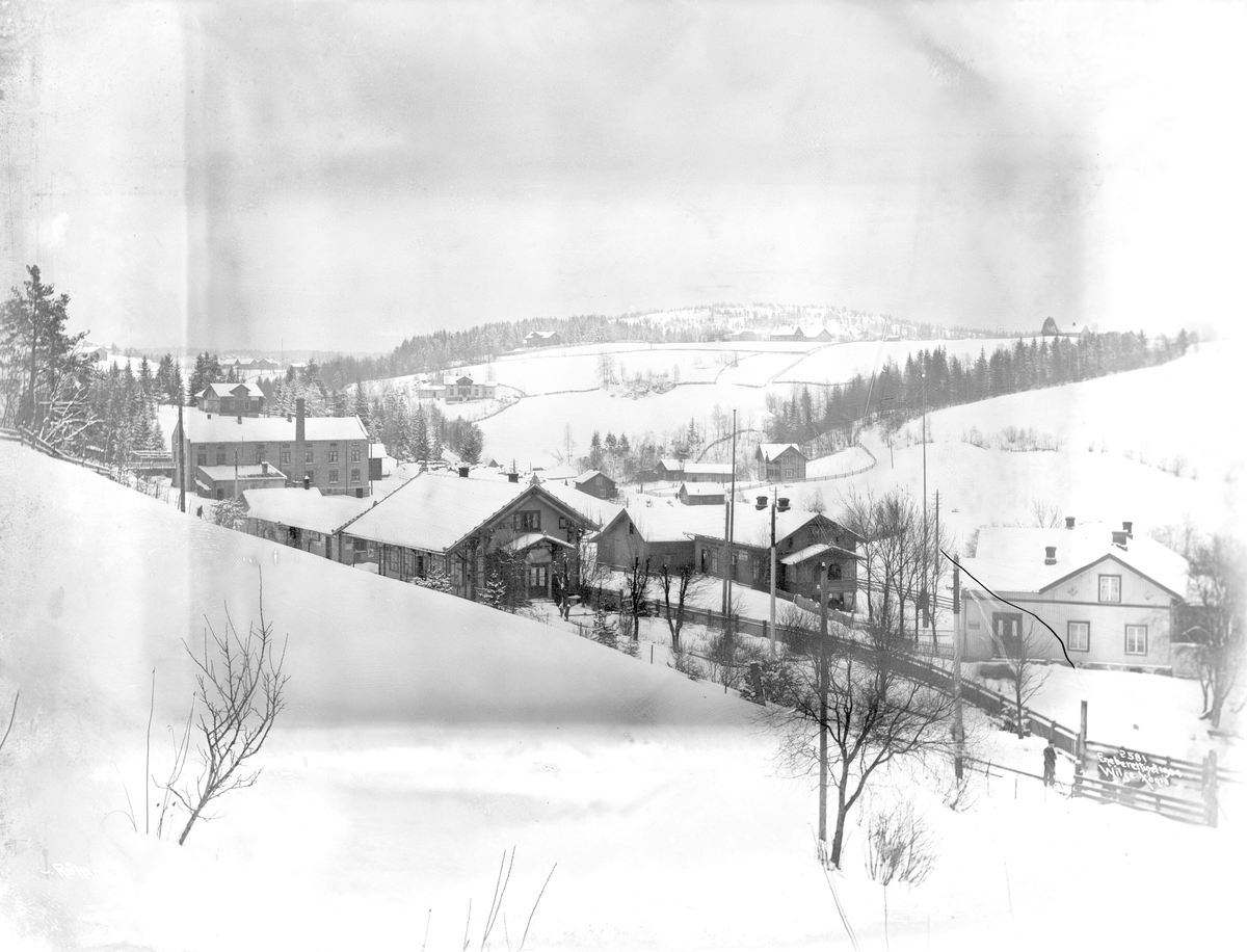 Anders Beer Wilse, Prot: Røken - Oversigt 3/2 1904