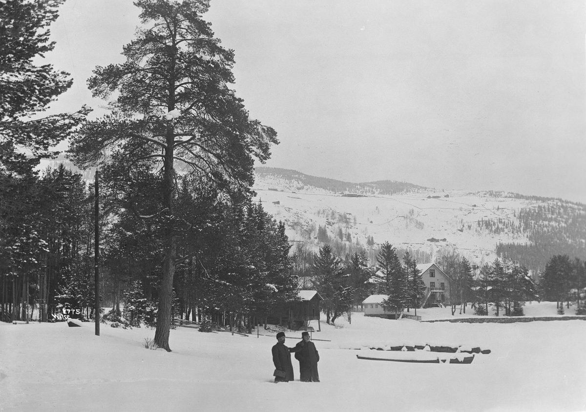 Anders Beer Wilse, Prot: Valdres - Strandefjorden ved Fagernes 9/3 1904