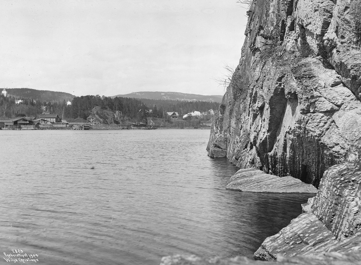 Anders Beer Wilse, Prot: Bygdø - Sjøbadet Strandparti 26/7 1904