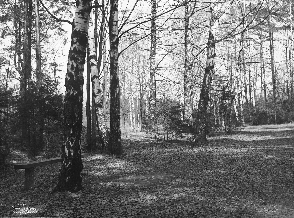 Anders Beer Wilse, Prot: Bygdø - Bjerkelund 26/7 1904