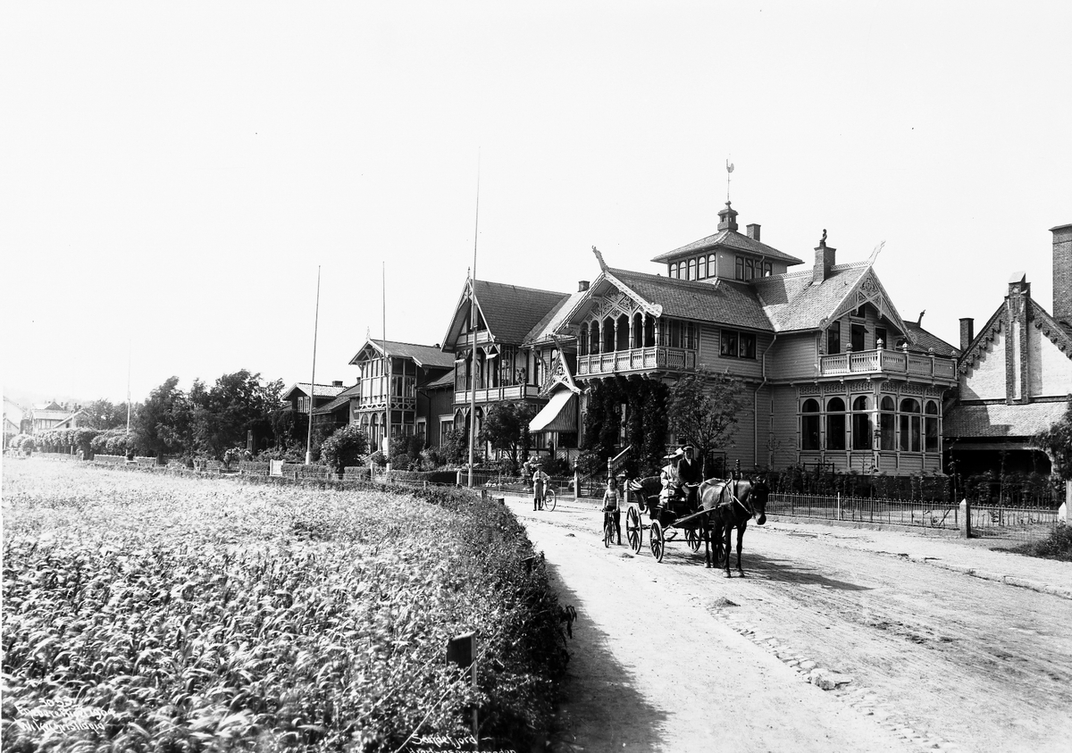 Anders Beer Wilse, Prot: Sandefjord - Hjertnespromenaden 15/7 1904