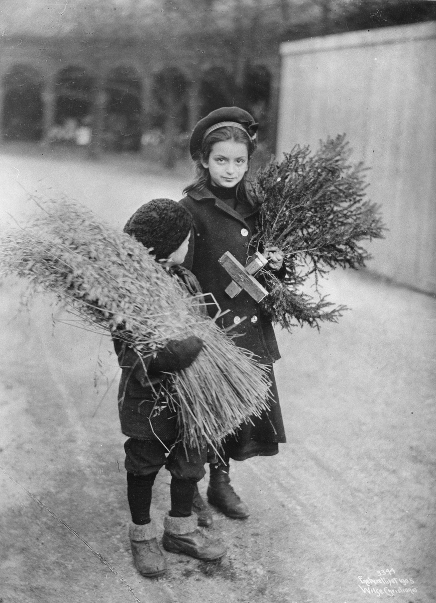 Anders Beer Wilse, Prot: Julaften Juleneg og Julegran Gut og Pike 24/12 1904