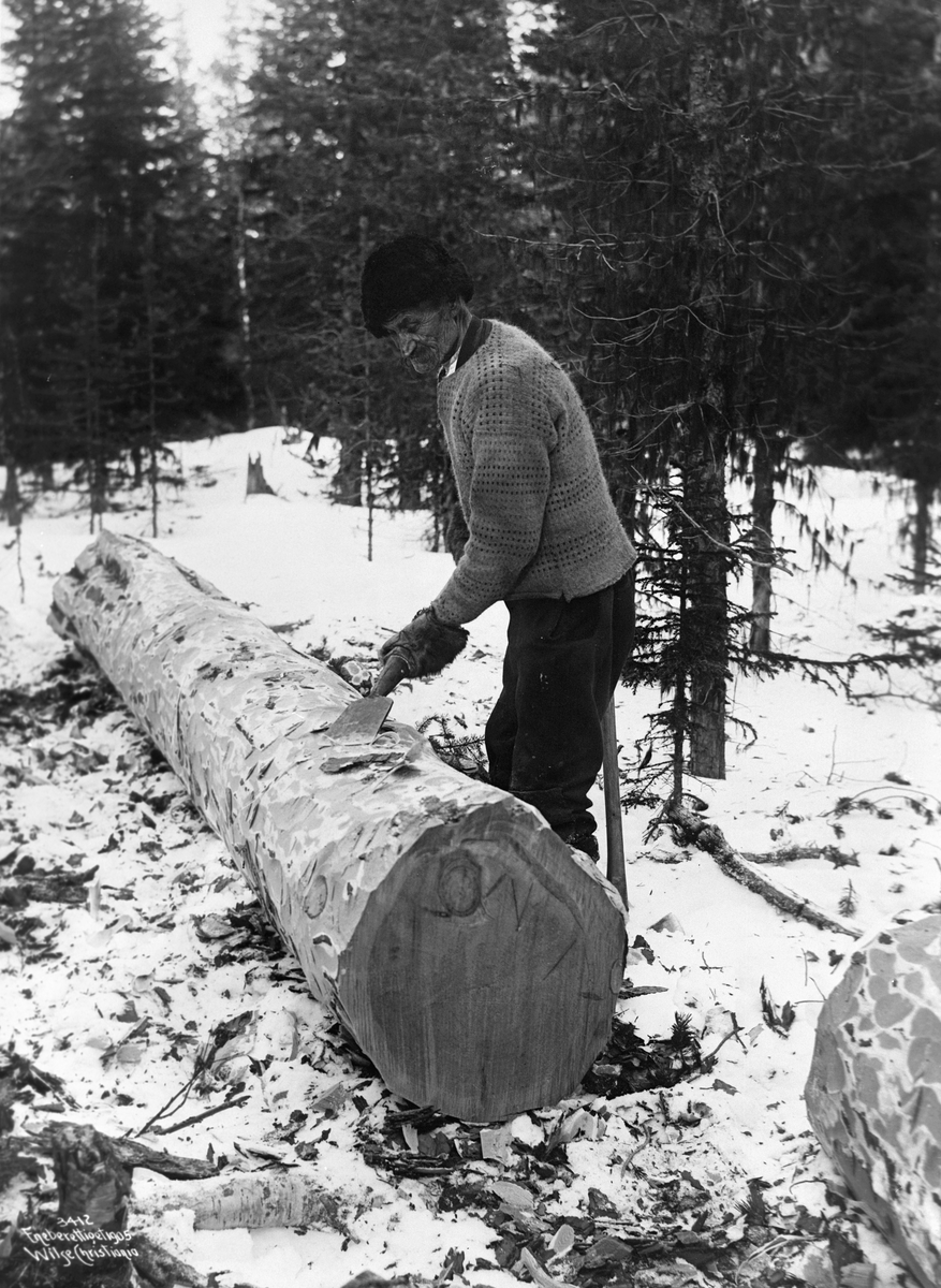 Anders Beer Wilse, Prot: Tømmerhugger barking 22/2 1905
