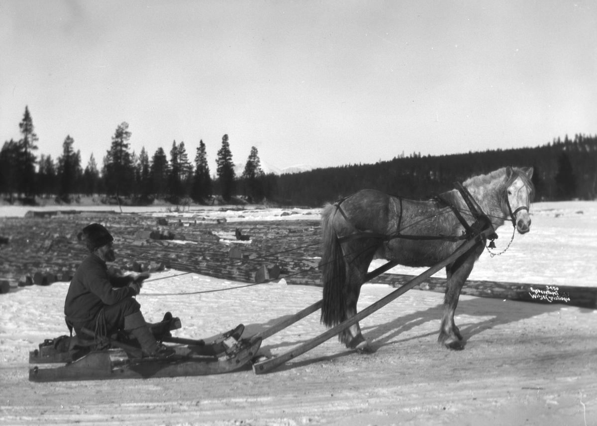Anders Beer Wilse, Prot: Tømmerkjøring Slede og Hest 24/2 1905