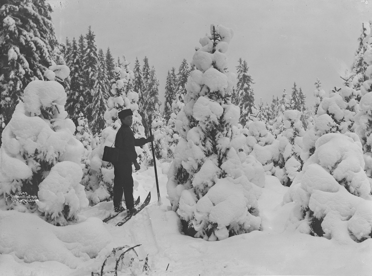 Anders Beer Wilse, Prot: Vinter - Skogparti og Gut på Ski Urskog 11/1 1906