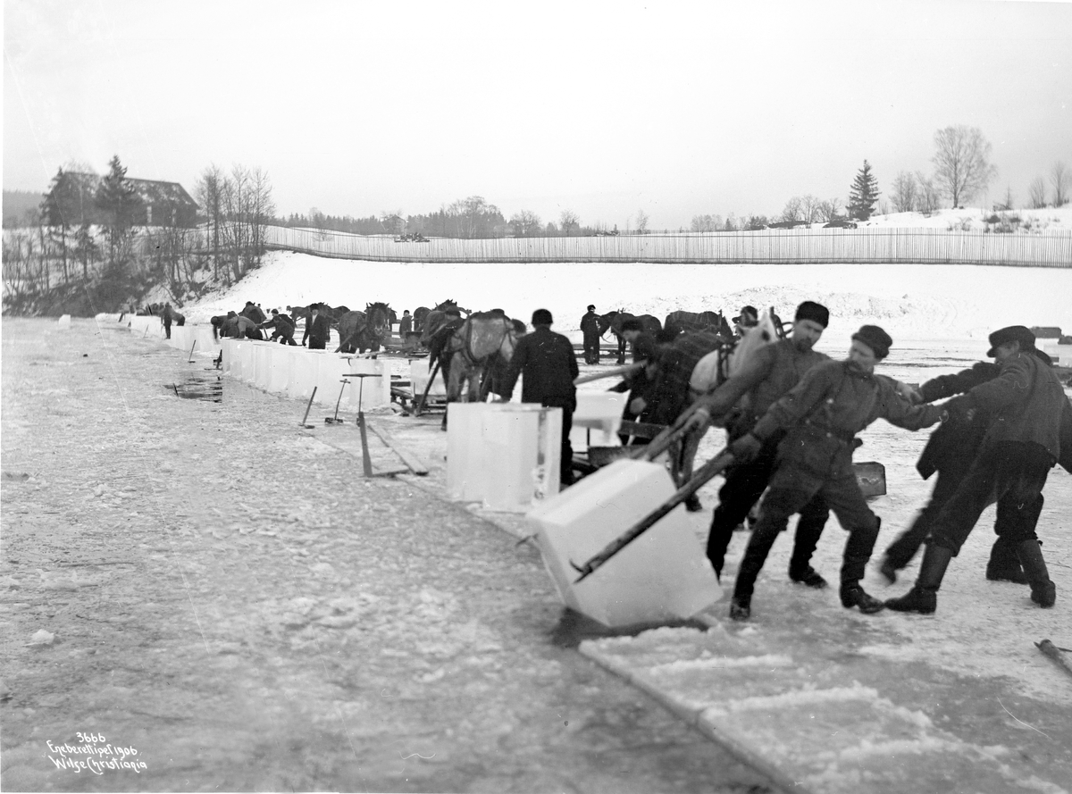 Anders Beer Wilse, Prot: Vinter - Isskjæring Holmendammen 22/1 1906
