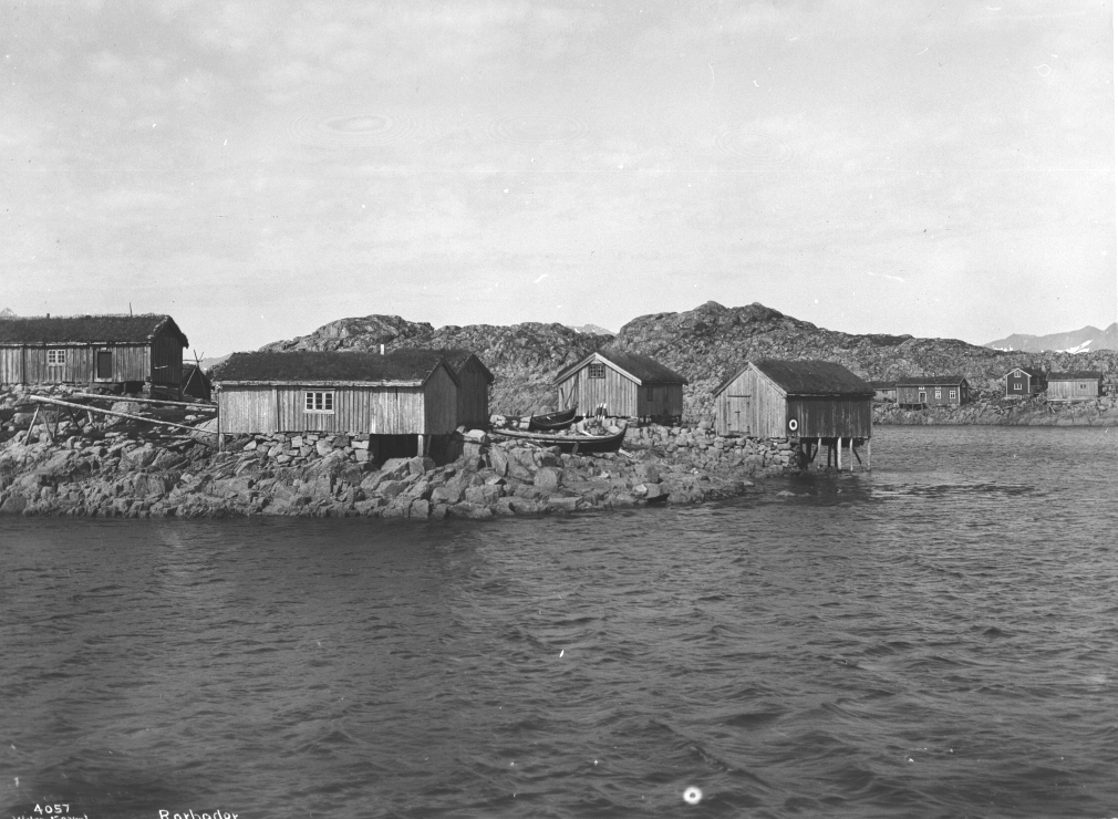 Anders Beer Wilse, Prot: Lofoten - Fiskerhjem 29/6 1905