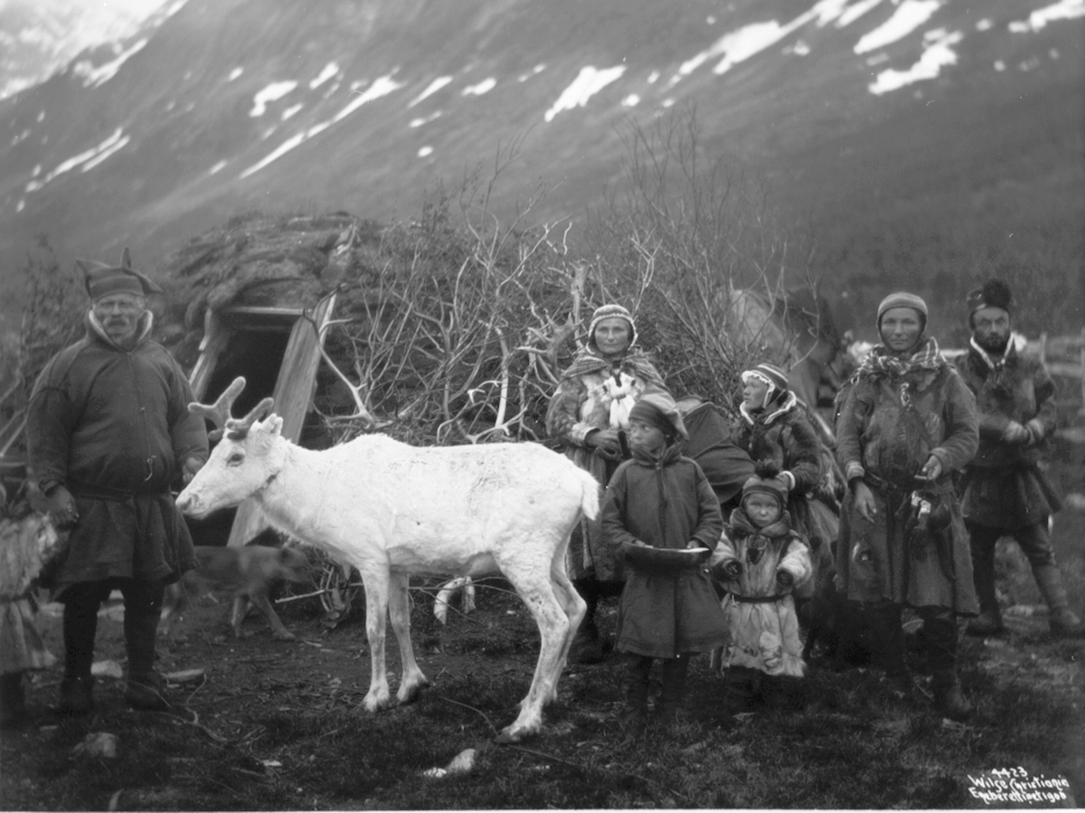 Anders Beer Wilse, Prot: Lappefamilie med Ren 1906