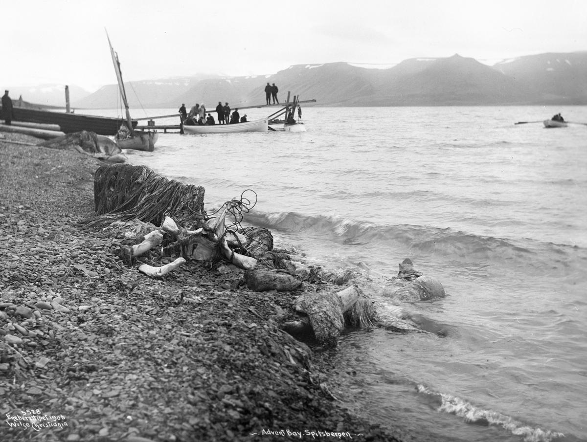 Anders Beer Wilse, Prot: Spitsbergen - Advent Bay Hvalskelet langs Stranden 18/8 1906
