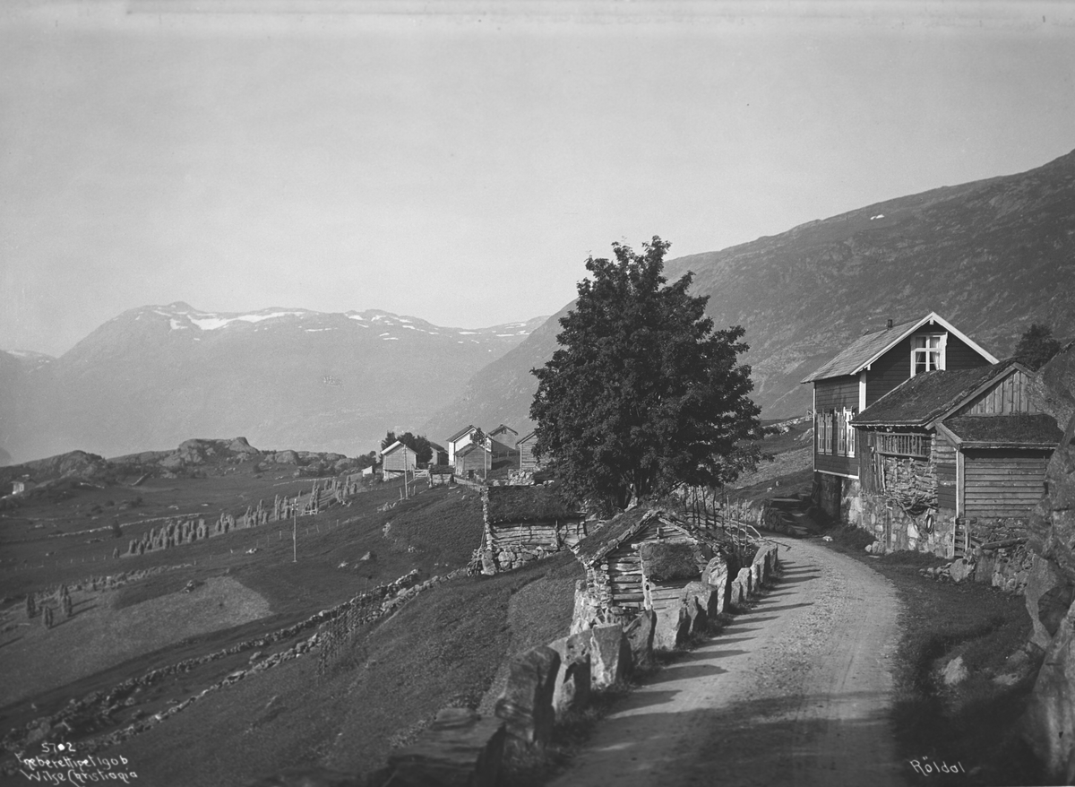 Anders Beer Wilse, Prot: Røldal Sep.