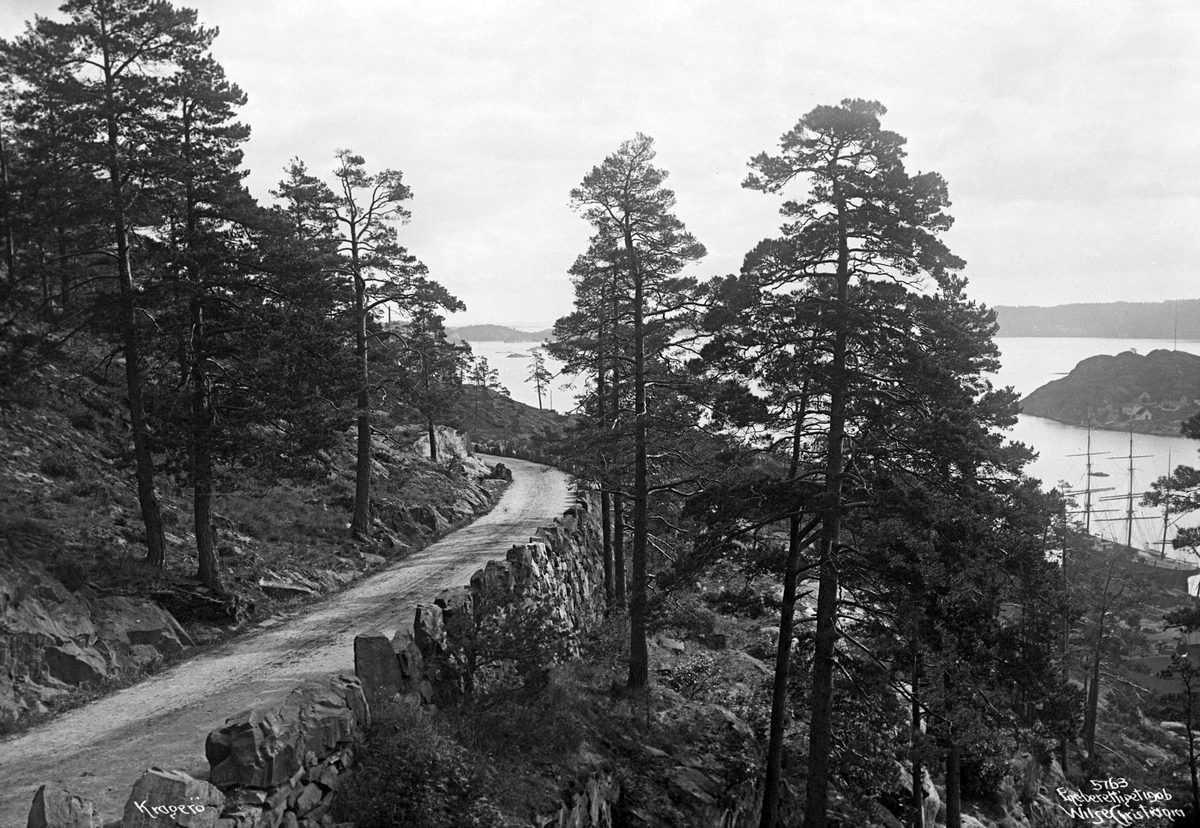 Anders Beer Wilse, Prot: Kragerø Bjørneveien og utsigten 3/10
