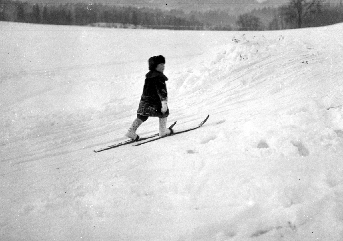 Anders Beer Wilse, Prot: Kronprinsen paa ski gaaende opover bakken