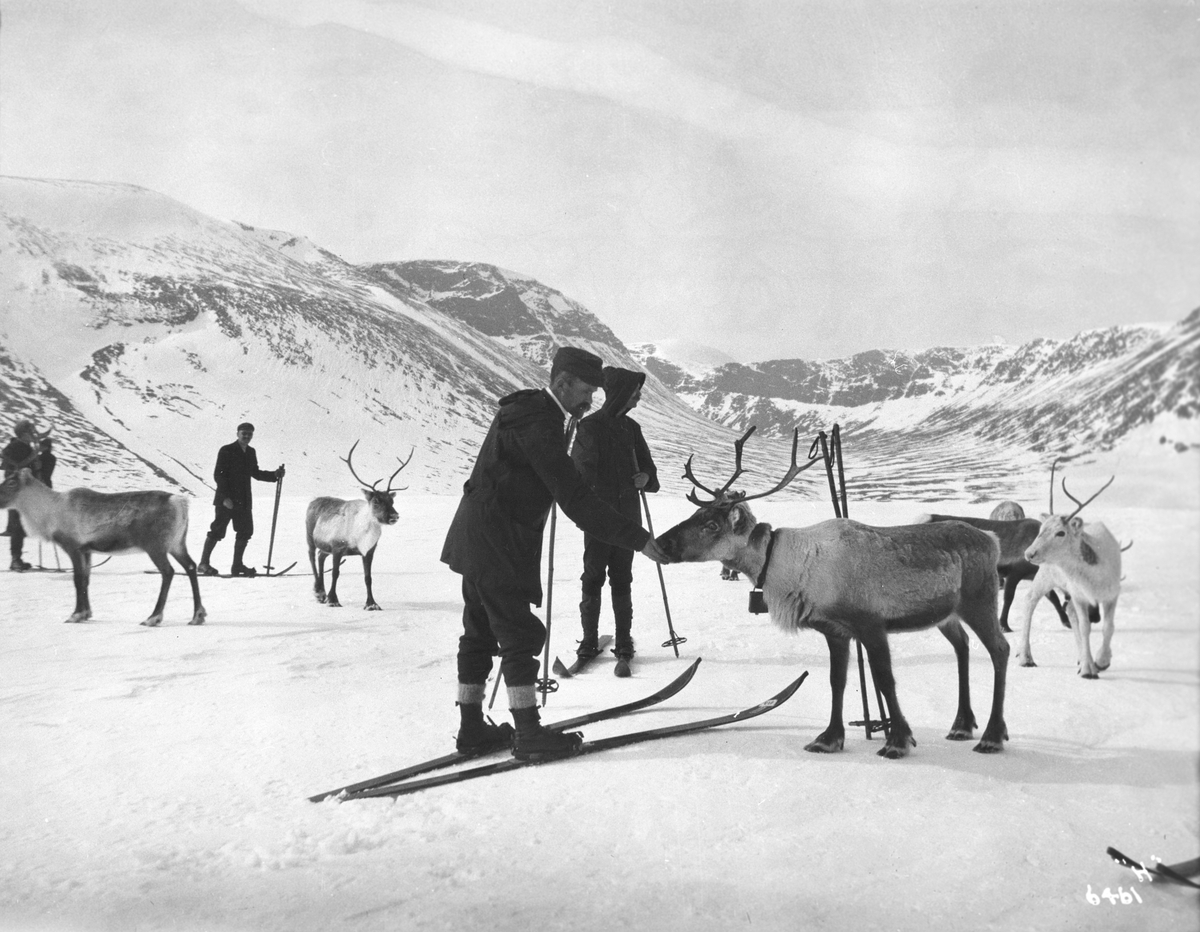 Anders Beer Wilse, Prot: Paasketur, Filefjeld, Elevsæter ved Helevann