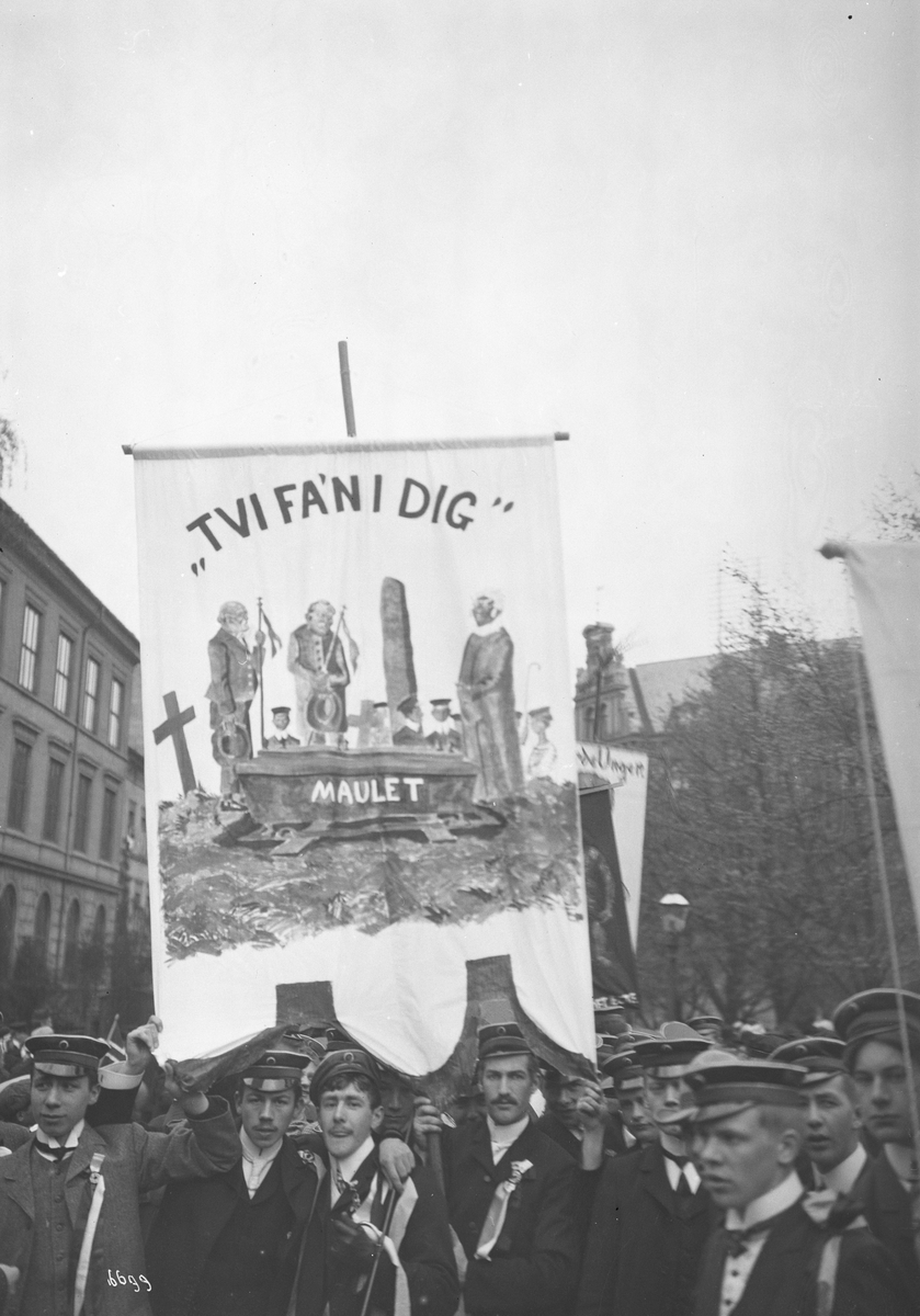 Anders Beer Wilse, Prot: 17de Mai - Russetoget, Maulet