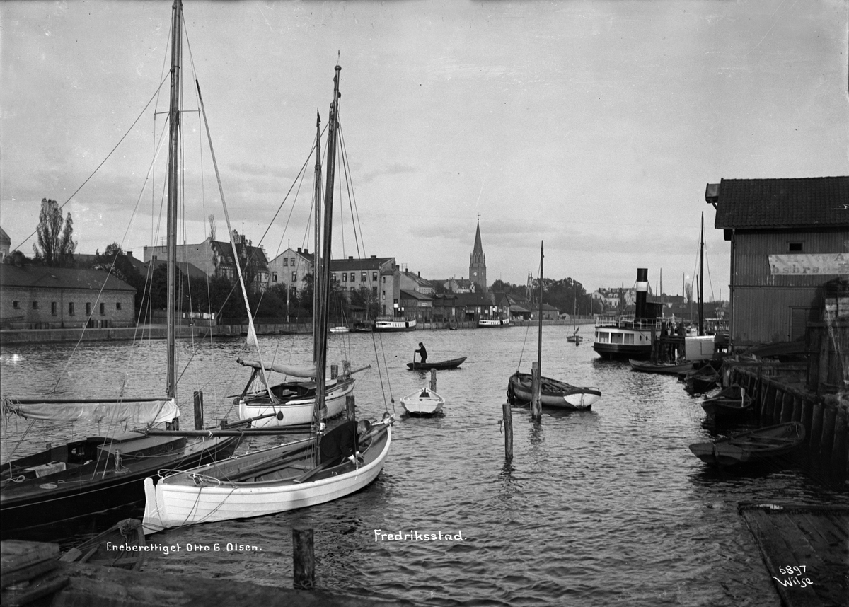 Anders Beer Wilse, Prot: Fredrikstad Elveparti
