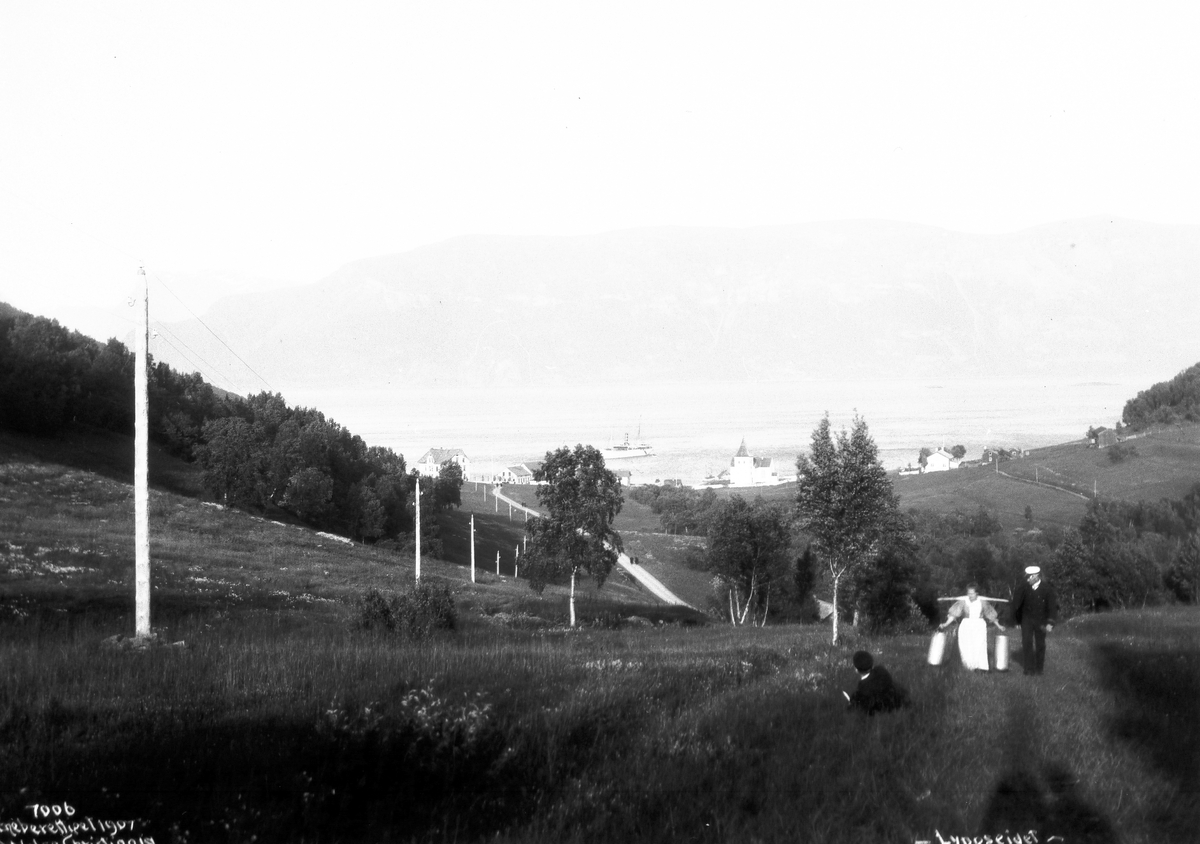 Anders Beer Wilse, Prot: Lyngseidet - Oversigt 1907