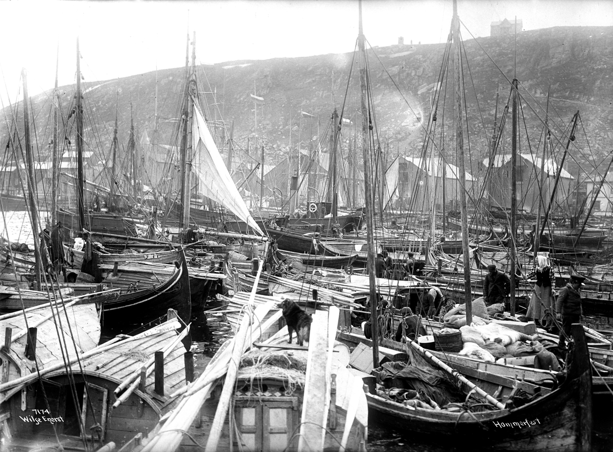 Anders Beer Wilse, Prot: Hammerfest Havneparti