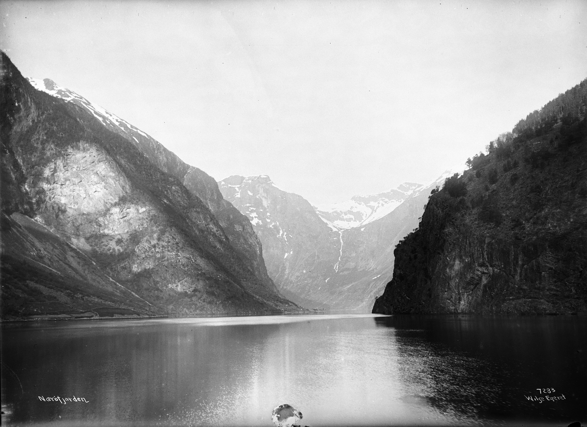 Anders Beer Wilse, Prot: Nærøfjorden
