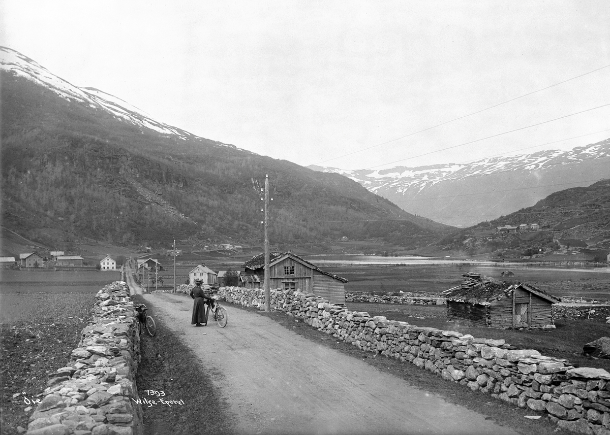 Anders Beer Wilse, Prot: Valdres Parti ved Øilo