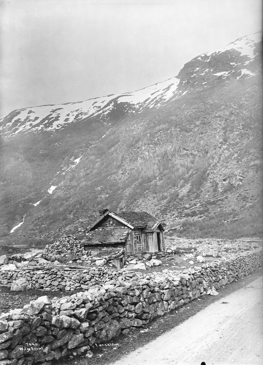 Anders Beer Wilse, Prot: Lærdal Husmandsplads