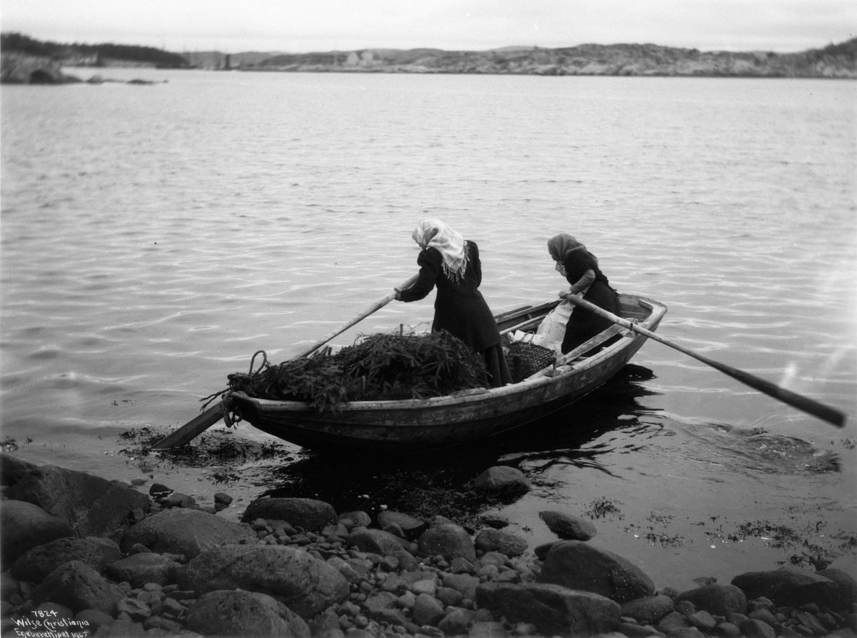 Anders Beer Wilse, Prot: Fiskerkoner baaten settes av 1907